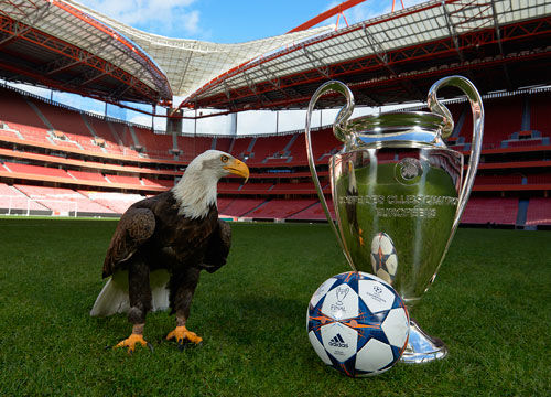 你不是为当 你不是为当